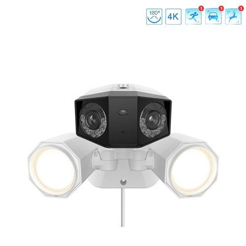 ikonka duo 2 poe floodlight.png